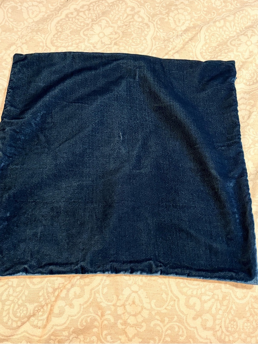 20x20 Lush Velvet West Elm Deep Navy Pillow Cover linen back
